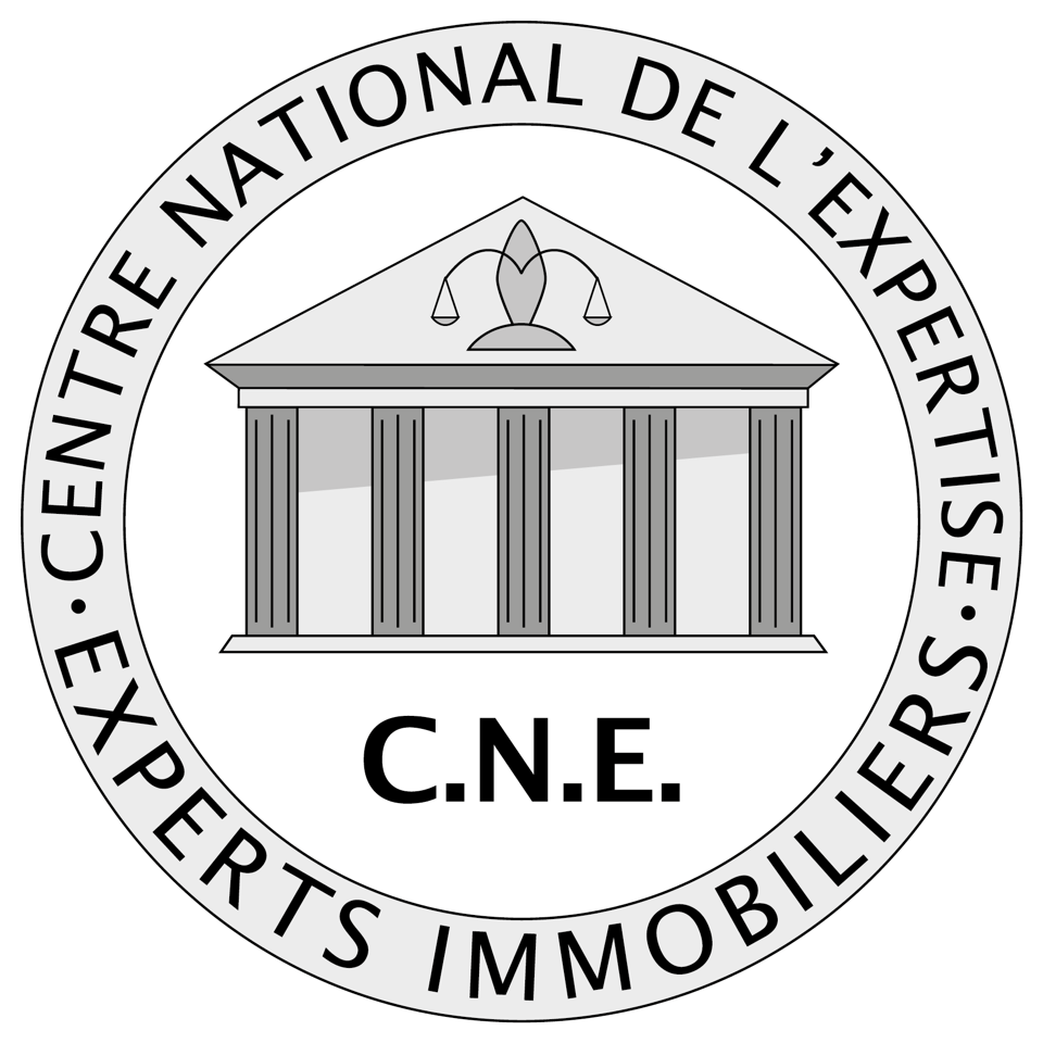 Logo du CNE, Centre National de l’Expertise